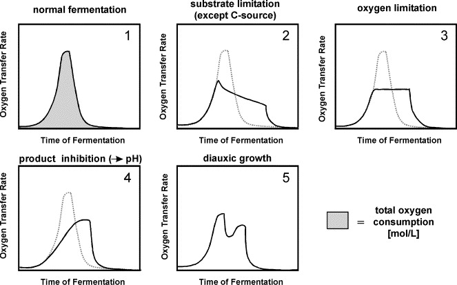 The oxygen transfer rate (OTR) can reveal different conditions of a fermentation (Anderlei & Büchs, 2001).